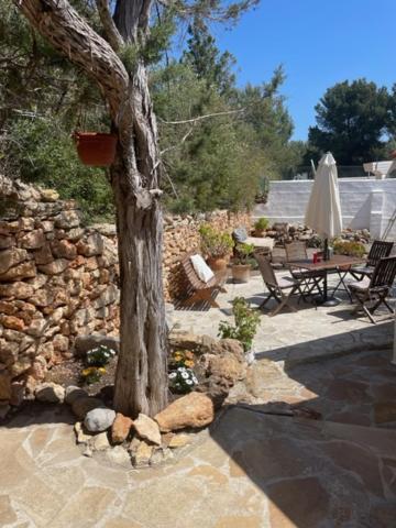 Retreat Studio Santa Eularia des Riu Eksteriør billede